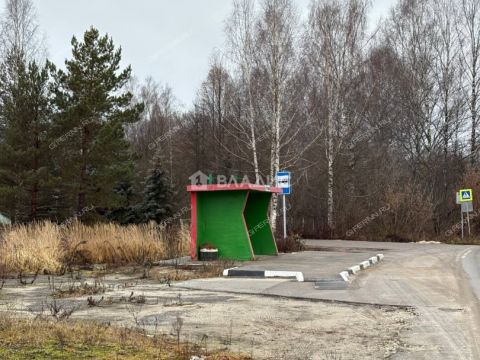 selo-gorodishhi-gorodskoy-okrug-bor фото