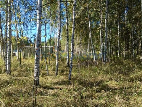 selo-elhovka-kstovskiy-rayon фото