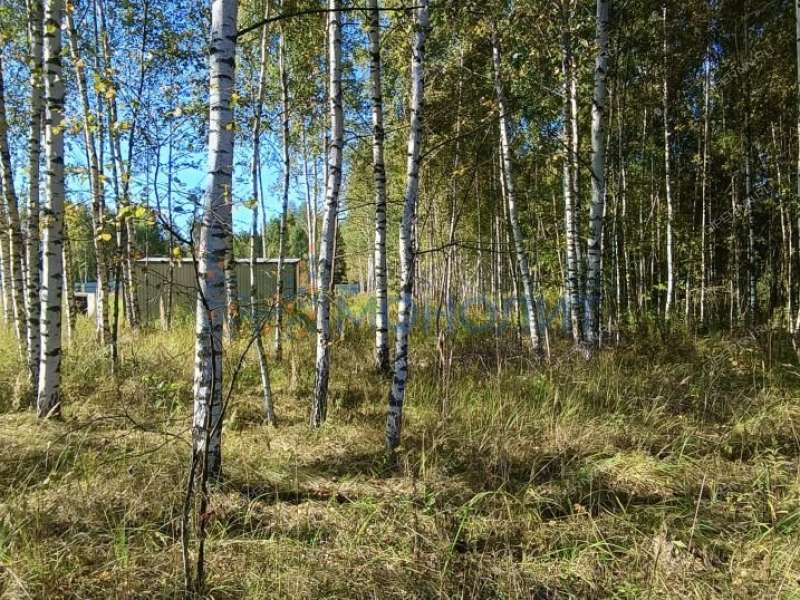 земельный участок 15 соток ТИЗ Елховка - Урожайная улица село Елховка