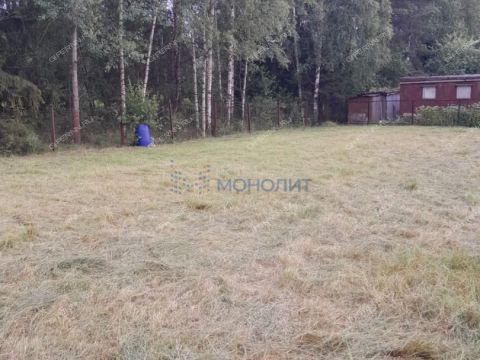 snt-rosinka-gorodskoy-okrug-bor фото