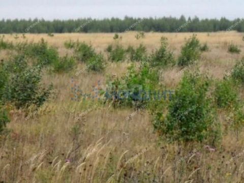 derevnya-vyazovka-gorodskoy-okrug-bor фото