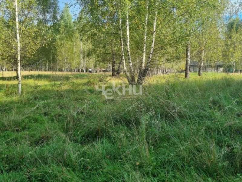 земельный участок 15 соток село Каменка