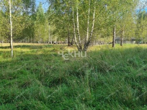 selo-kamenka-vorotynskiy-gorodskoy-okrug фото