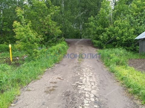 selo-ostankino-gorodskoy-okrug-bor фото