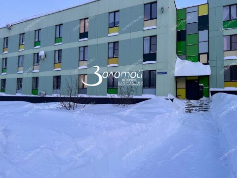 1-komnatnaya-poselok-kultura-kstovskiy-rayon фото