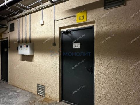 per-vishnevyy-d-3 фото