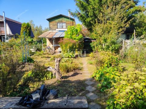 dacha-gorod-balahna-balahninskiy-municipalnyy-okrug фото