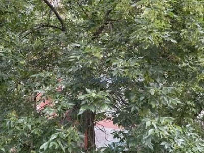 однокомнатная квартира на Гордеевской улице дом 66