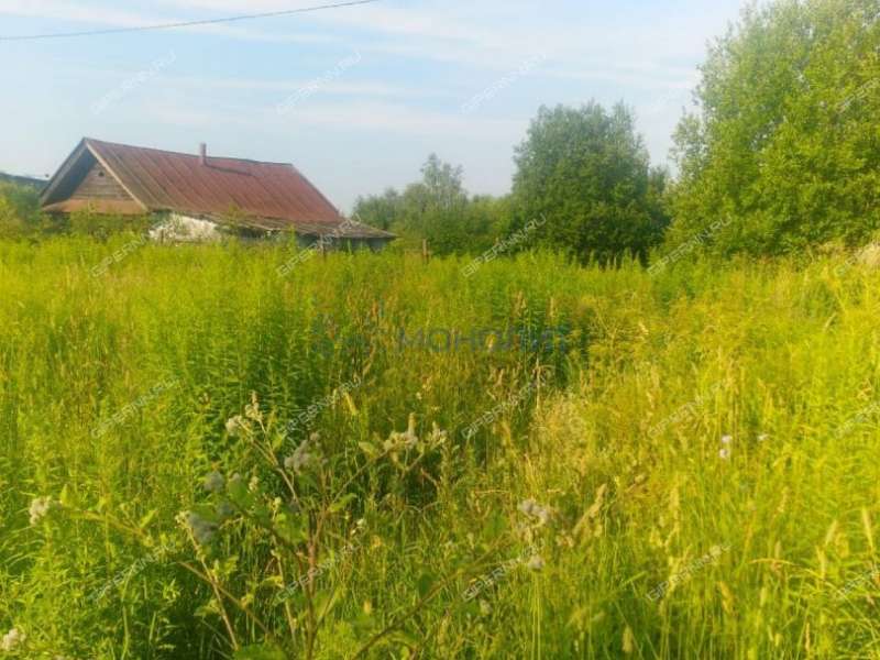 земельный участок 40 соток - деревня Бугры