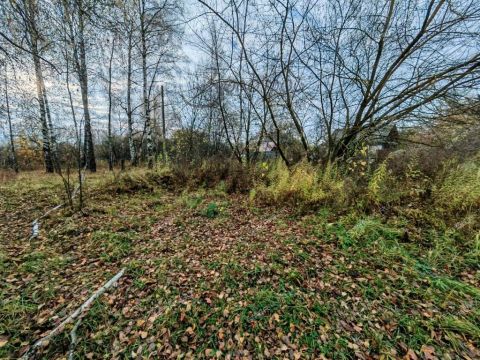 derevnya-zolotovo-gorodskoy-okrug-bor фото