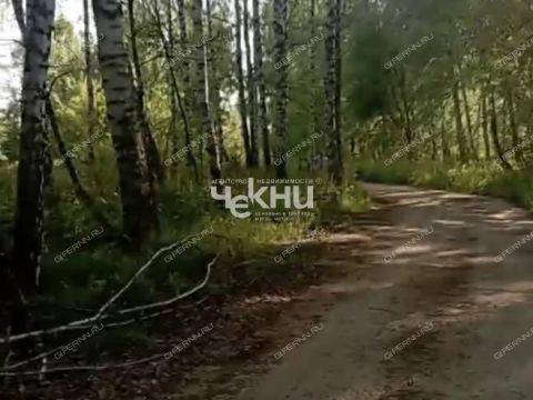derevnya-dosadino-vadskiy-municipalnyy-okrug фото