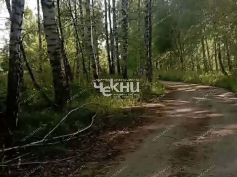 земельный участок 100 соток деревня Досадино