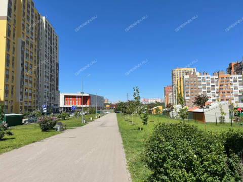 2-komnatnaya-ul-mechtateley-d-4 фото