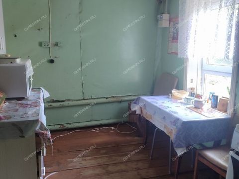 dom-derevnya-staroe-druzhkovo-spasskiy-rayon фото