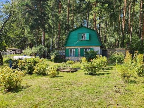 dacha-poselok-sitniki-gorodskoy-okrug-bor фото