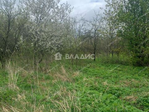dom-selo-barmino-lyskovskiy-municipalnyy-okrug фото