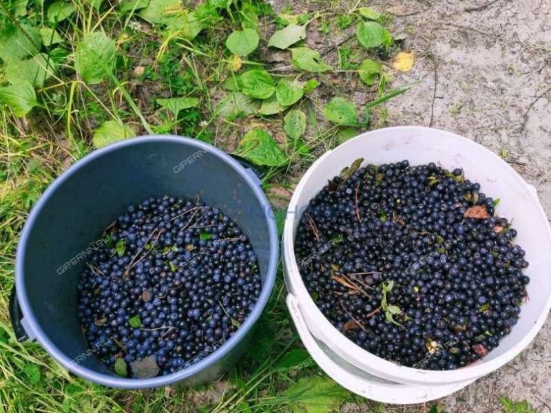 дом на улице Озерная посёлок Железнодорожный (Ситниковский сельсовет