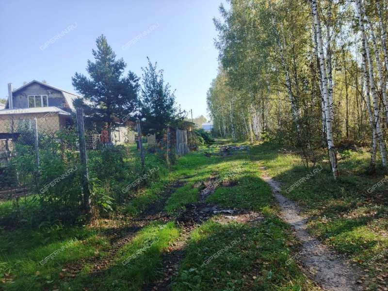 земельный участок 7,81 сотки Центральная улица посёлок Ситники