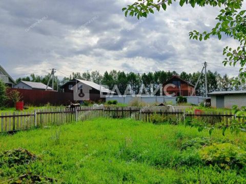 derevnya-shumilovo-bogorodskiy-municipalnyy-okrug фото