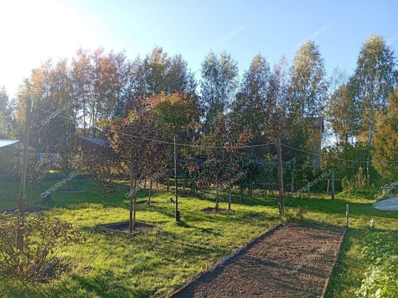 дача на улице Мира рабочий посёлок Большое Козино