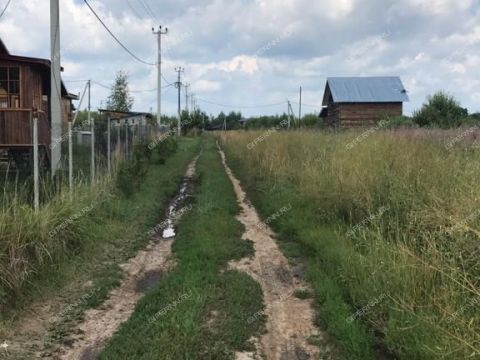 selo-aleshkovo-bogorodskiy-municipalnyy-okrug фото