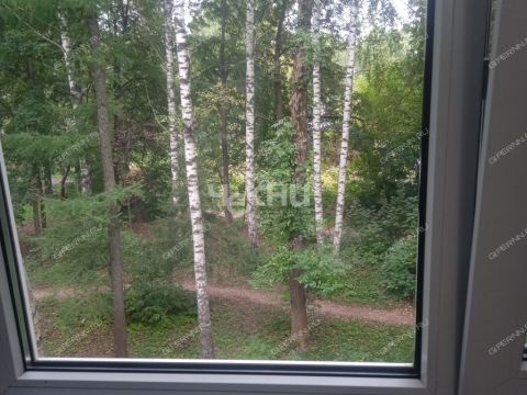 2-komnatnaya-ul-vyacheslava-shishkova-d-6-2 фото