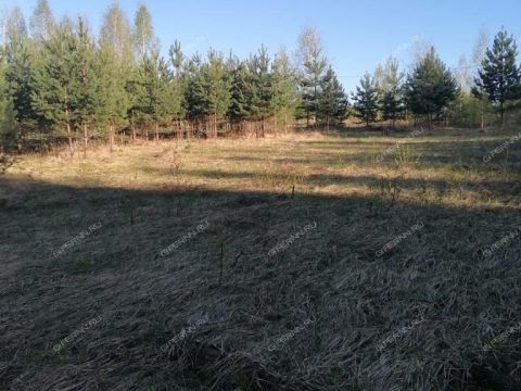 gorod-pavlovo-pavlovskiy-municipalnyy-okrug фото