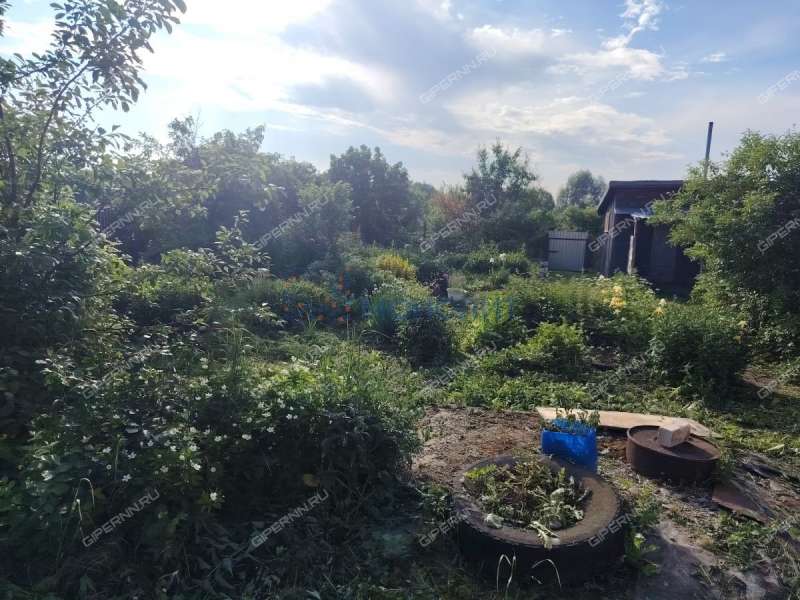 дом на улице Мира село Красное