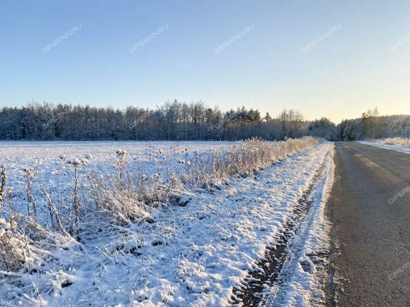 земельный участок 8 соток Цветаевой улица село Каменки