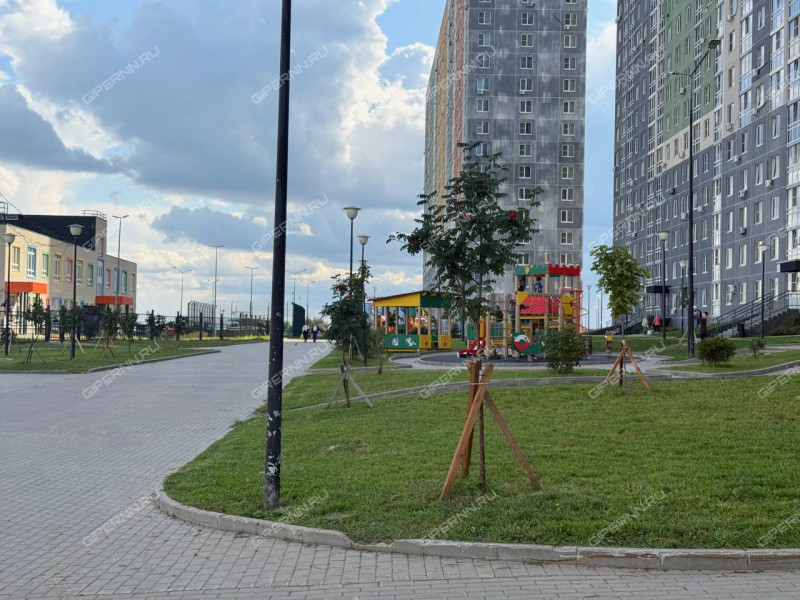однокомнатная квартира на Русской улице улице дом 5 деревня Анкудиновка