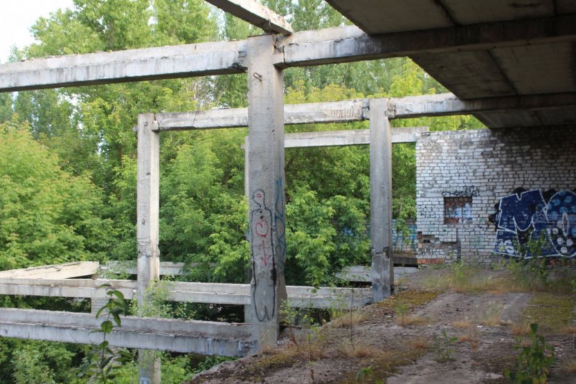 Фото: Ксения Ражева / gipernn.ru