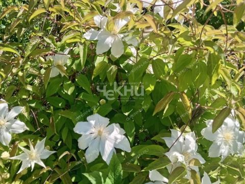 dacha-rabochiy-poselok-pervomayskiy-gorodeckiy-rayon фото