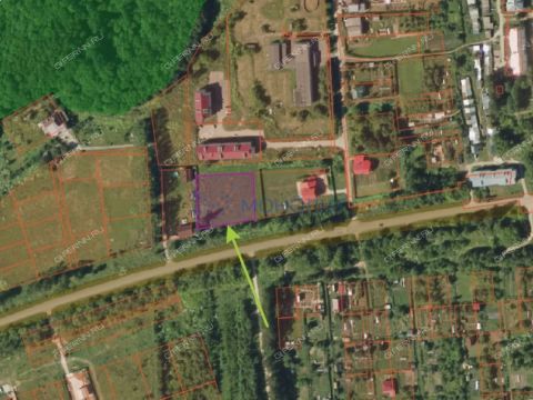 selo-dudenevo-bogorodskiy-municipalnyy-okrug фото