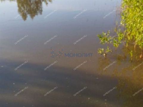 selo-strelka-vadskiy-municipalnyy-okrug фото