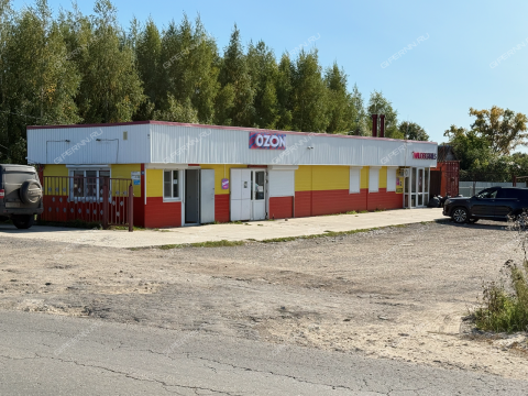 dom-derevnya-burcevo-bogorodskiy-municipalnyy-okrug фото
